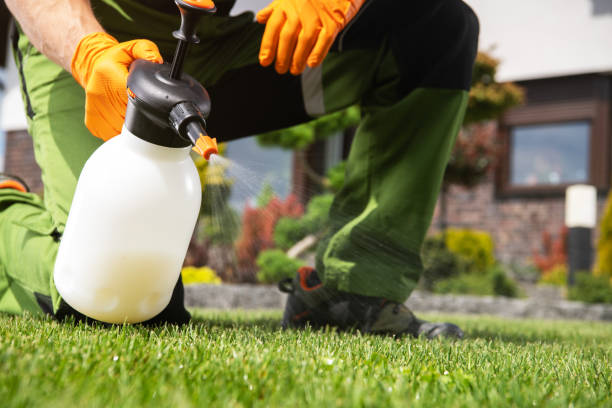 Best Affordable Pest Control Services  in Ottawa, KS