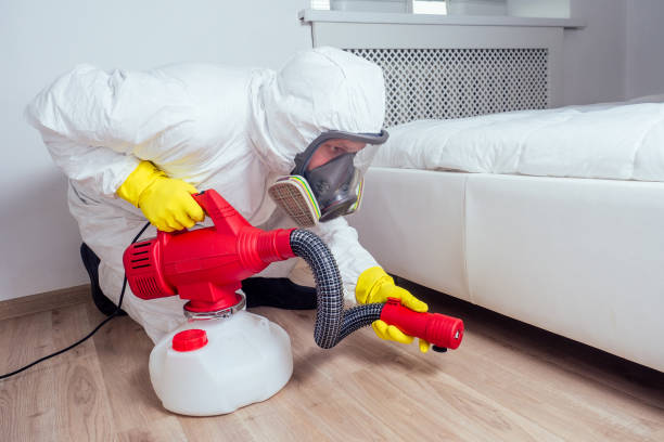 Best Flea Control Services  in Ottawa, KS
