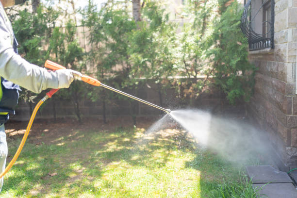 Best Wasp Removal Services  in Ottawa, KS