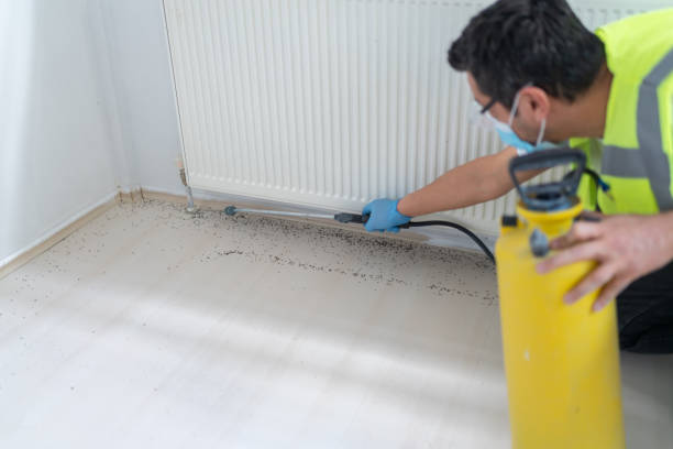 Best Residential Pest Control  in Ottawa, KS
