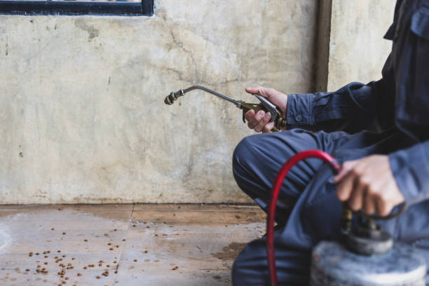 Best Best Pest Control Companies  in Ottawa, KS